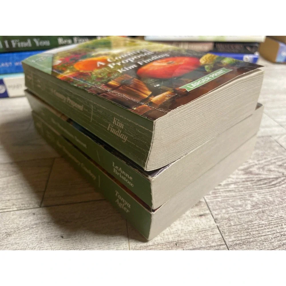 Harlequin Heartwarming LARGER PRINT Romance Novels Lot of 3 Cowboy Country
